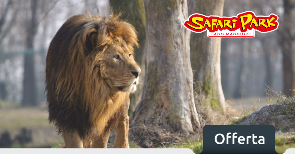 safari park pombia offerte
